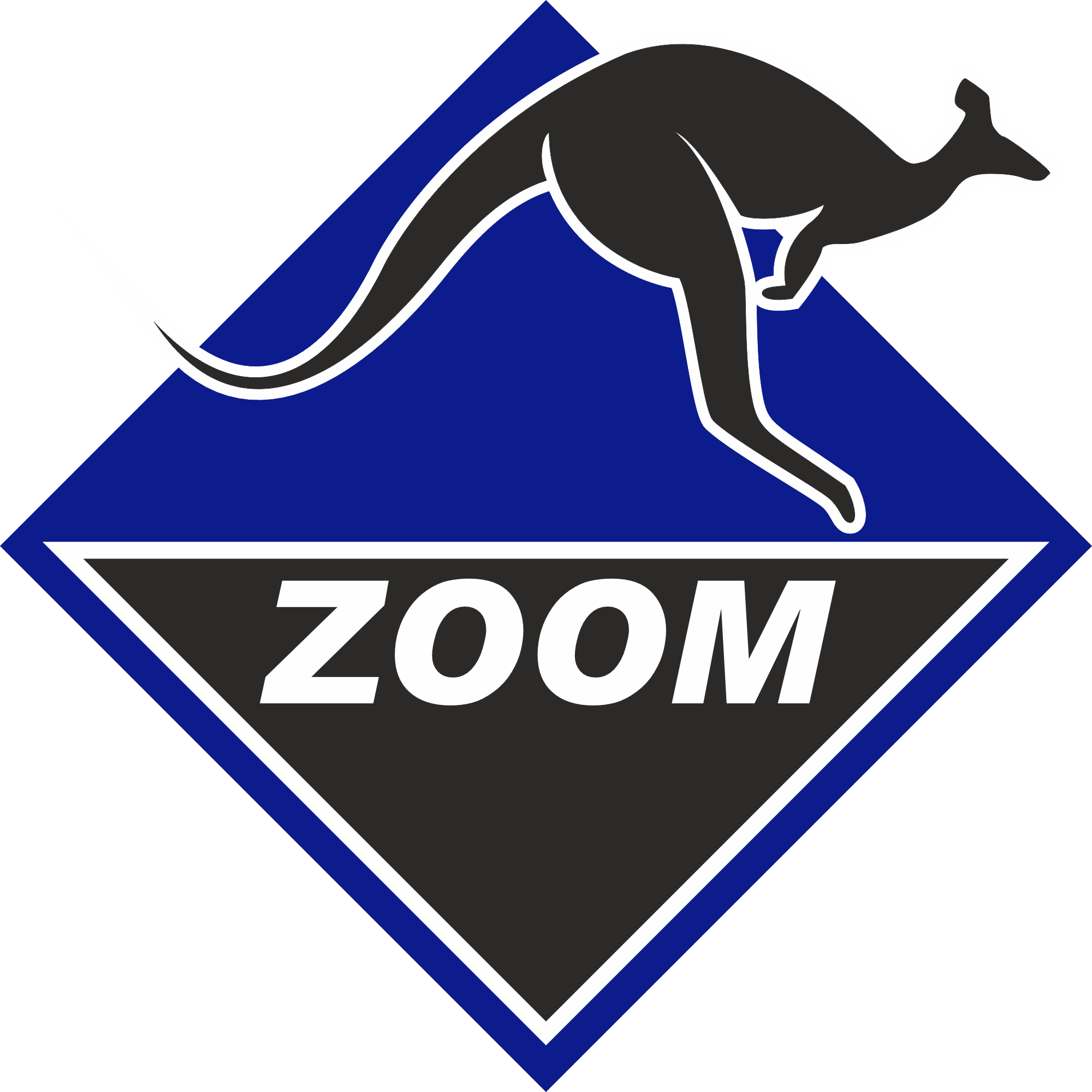 Grupo ZOOM logo